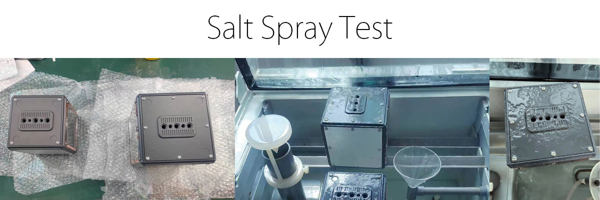salt test